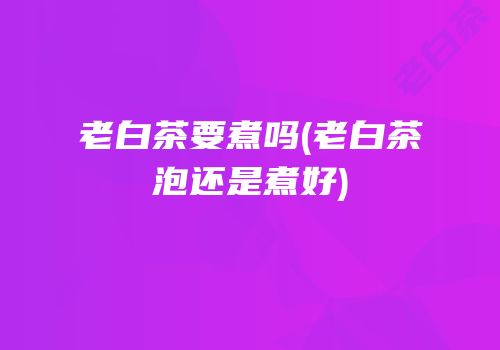 老白茶要煮吗(老白茶泡还是煮好)