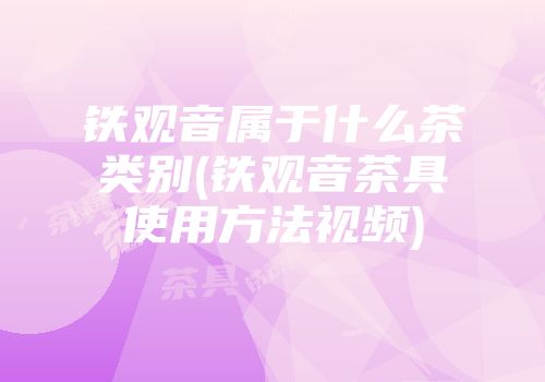 铁观音属于什么茶类别(铁观音茶具使用方法视频)