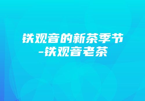 铁观音的新茶季节-铁观音老茶