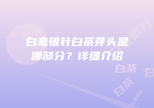 白毫银针白茶芽头是哪部分？详细介绍