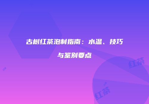 古树红茶泡制指南：水温、技巧与鉴别要点