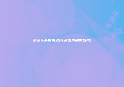 茉莉花茶的功效(花茶图片种类图片)