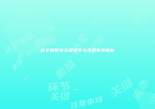 越冬蜂繁殖关键环节与注意事项解析
