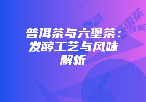 普洱茶与六堡茶：发酵工艺与风味解析
