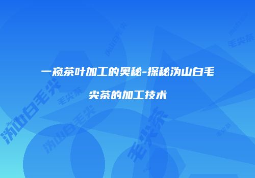 一窥茶叶加工的奥秘-探秘沩山白毛尖茶的加工技术