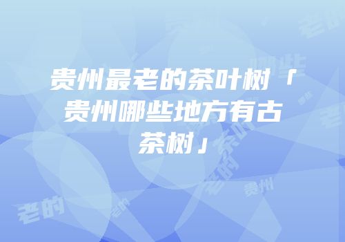 贵州最老的茶叶树「贵州哪些地方有古茶树」