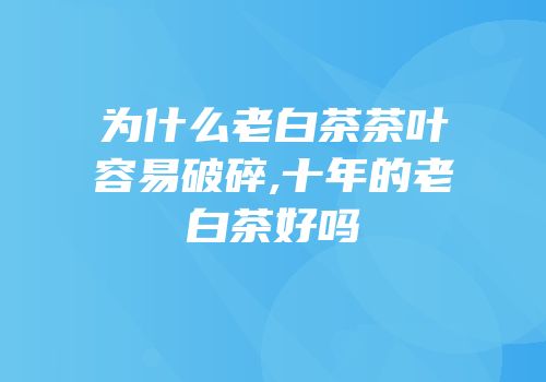 为什么老白茶茶叶容易破碎,十年的老白茶好吗