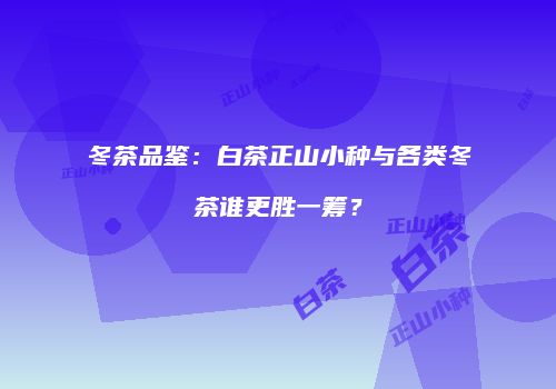 冬茶品鉴：白茶正山小种与各类冬茶谁更胜一筹？