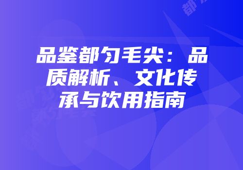 品鉴都匀毛尖：品质解析、文化传承与饮用指南