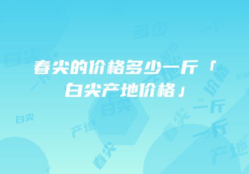 春尖的价格多少一斤「白尖产地价格」
