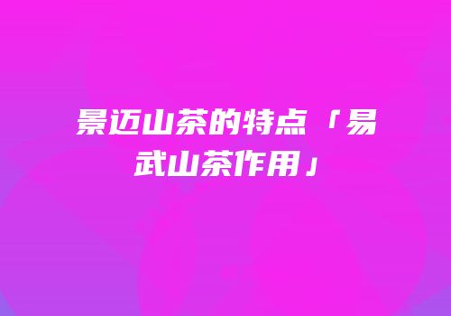 景迈山茶的特点「易武山茶作用」