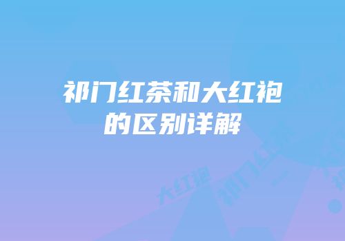 祁门红茶和大红袍的区别详解