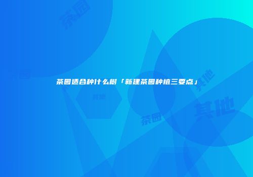 茶园适合种什么树「新建茶园种植三要点」