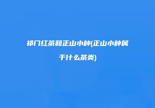 祁门红茶和正山小种(正山小种属于什么茶类)