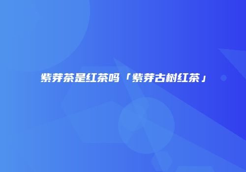 紫芽茶是红茶吗「紫芽古树红茶」