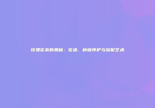玫瑰花茶的奥秘：花语、种植养护与搭配艺术