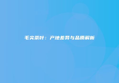 毛尖茶叶：产地差异与品质解析