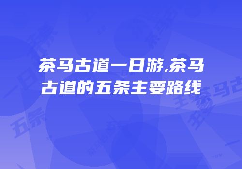 茶马古道一日游,茶马古道的五条主要路线