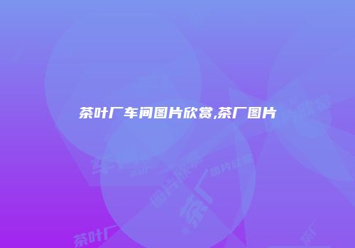茶叶厂车间图片欣赏,茶厂图片