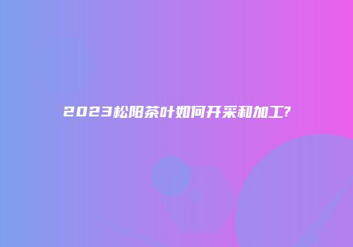 2023松阳茶叶如何开采和加工?