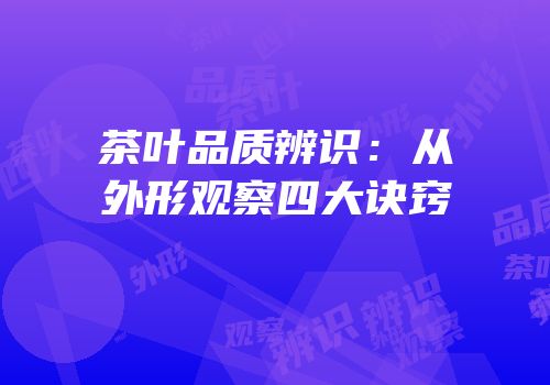 茶叶品质辨识：从外形观察四大诀窍