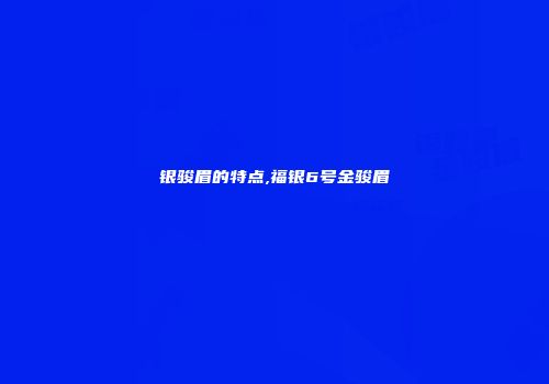 银骏眉的特点,福银6号金骏眉