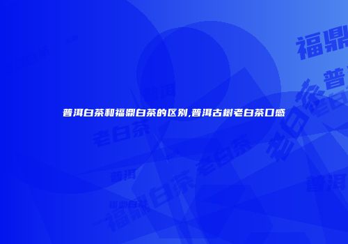 普洱白茶和福鼎白茶的区别,普洱古树老白茶口感