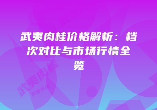 武夷肉桂价格解析：档次对比与市场行情全览