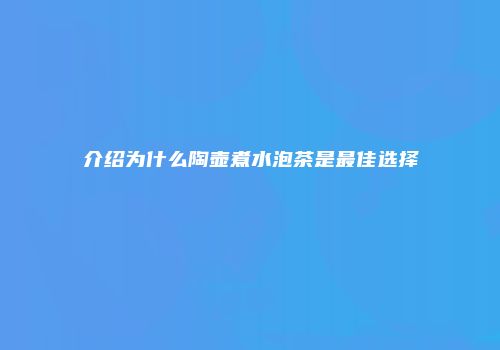 介绍为什么陶壶煮水泡茶是最佳选择