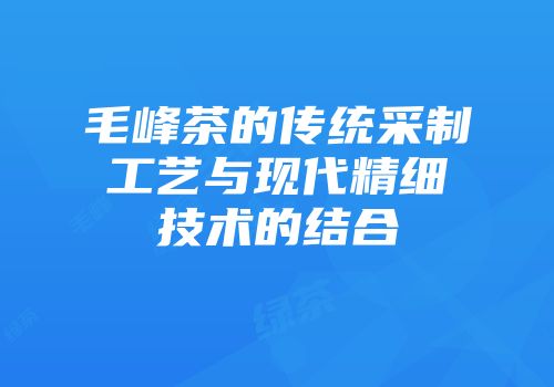 毛峰茶的传统采制工艺与现代精细技术的结合
