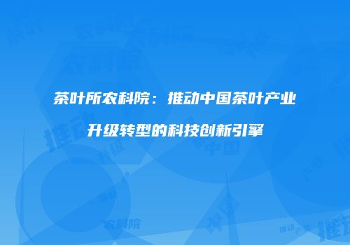 茶叶所农科院：推动中国茶叶产业升级转型的科技创新引擎