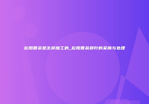 松阳香茶是怎样加工的_松阳香茶鲜叶的采摘与处理