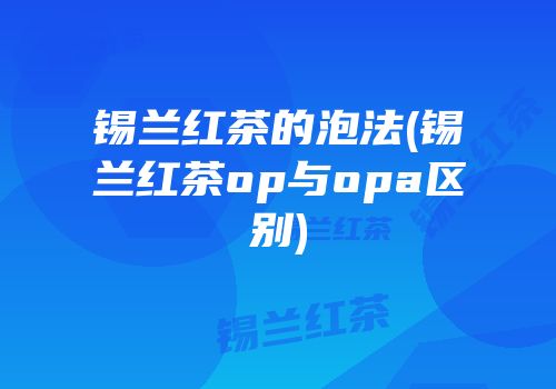 锡兰红茶的泡法(锡兰红茶op与opa区别)