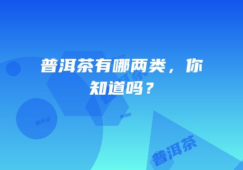 普洱茶有哪两类，你知道吗？