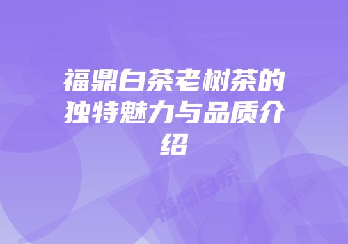 福鼎白茶老树茶的独特魅力与品质介绍