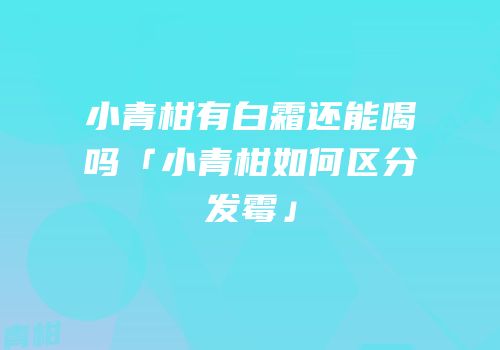 小青柑有白霜还能喝吗「小青柑如何区分发霉」