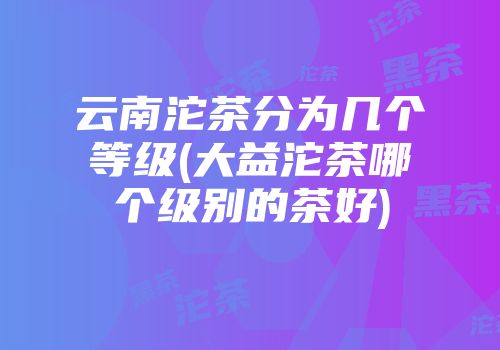云南沱茶分为几个等级(大益沱茶哪个级别的茶好)