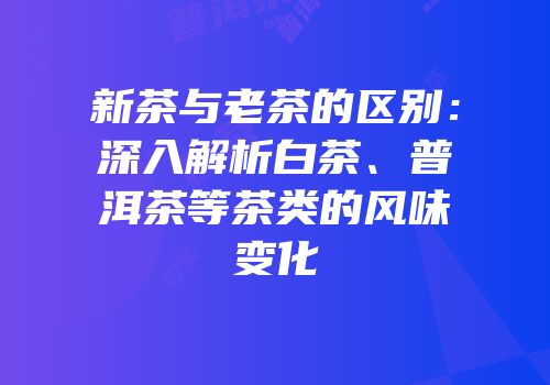 新茶与老茶的区别：深入解析白茶、普洱茶等茶类的风味变化