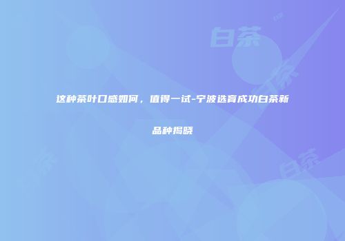 这种茶叶口感如何，值得一试-宁波选育成功白茶新品种揭晓