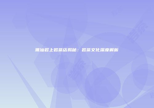 潮汕岩上岩茶店揭秘：岩茶文化深度解析