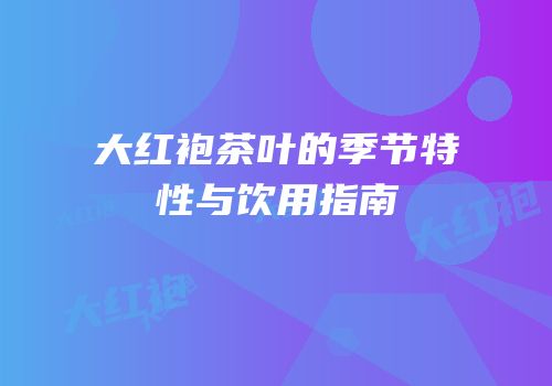 大红袍茶叶的季节特性与饮用指南
