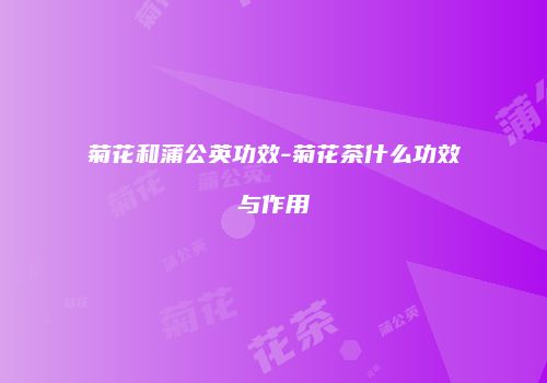 菊花和蒲公英功效-菊花茶什么功效与作用