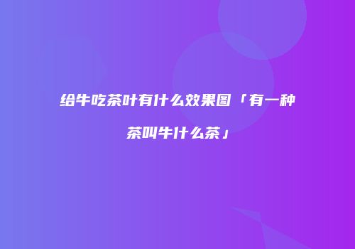 给牛吃茶叶有什么效果图「有一种茶叫牛什么茶」
