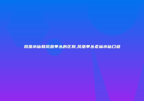 凤凰水仙和凤凰单丛的区别,凤凰单丛老枞水仙口感