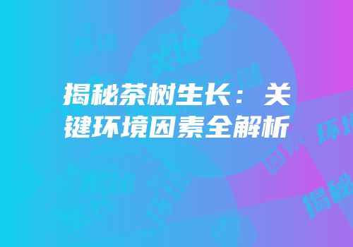 揭秘茶树生长：关键环境因素全解析