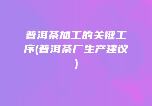 普洱茶加工的关键工序(普洱茶厂生产建议)