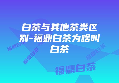 白茶与其他茶类区别-福鼎白茶为啥叫白茶