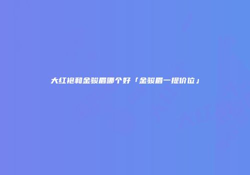 大红袍和金骏眉哪个好「金骏眉一提价位」