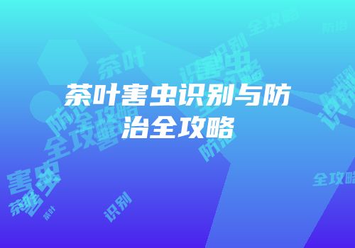 茶叶害虫识别与防治全攻略