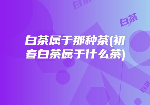 白茶属于那种茶(初春白茶属于什么茶)